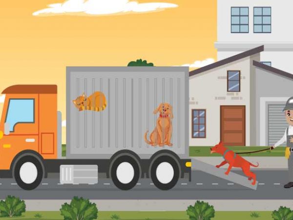 Need Of Pet Shipping Service In The House Moving
